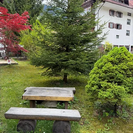 Apartament Mountain